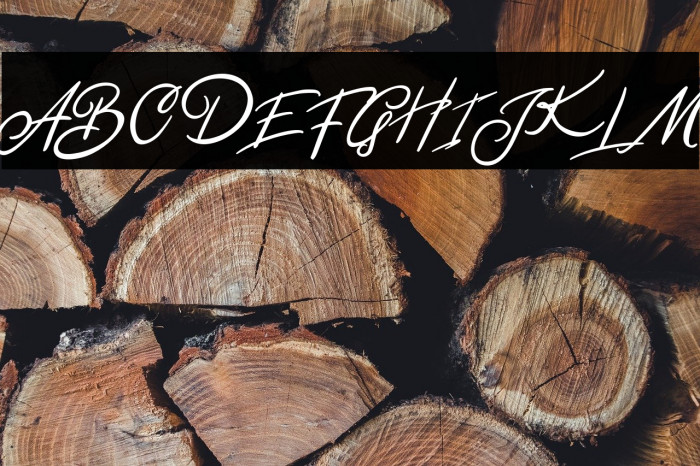 BentleyFREE Example 2