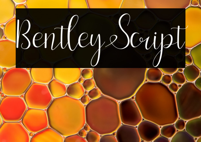 BentleyScript Example 2