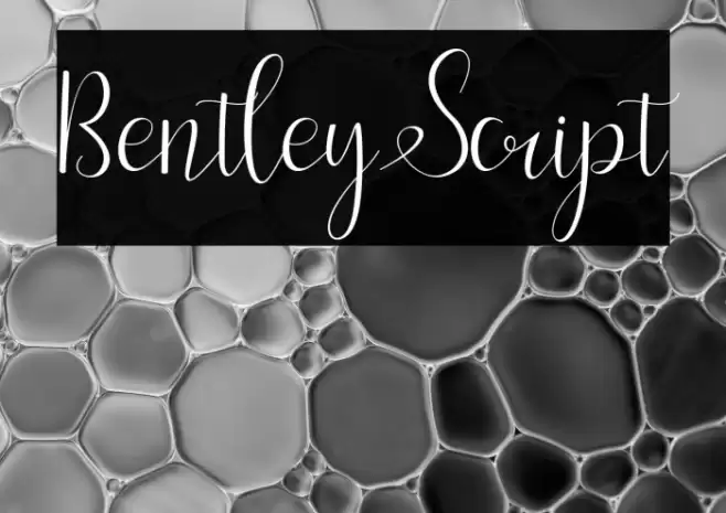 BentleyScript Font examples