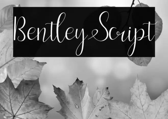 BentleyScript Font examples