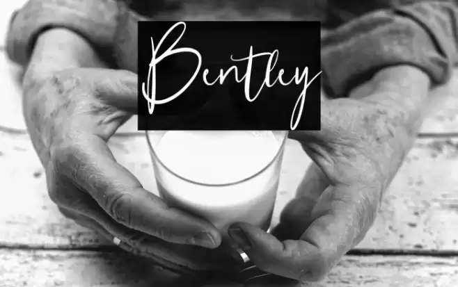 Bentley Font examples