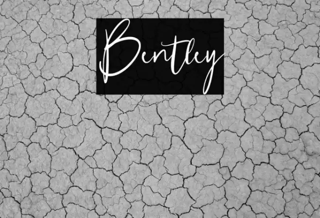 Bentley Font examples