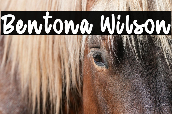 Bentona Wilson Example 2