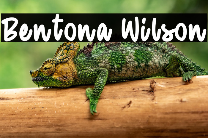 Bentona Wilson Example 3