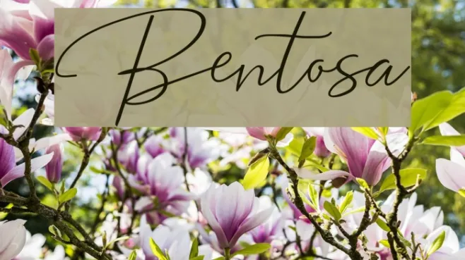 Bentosa Example 2