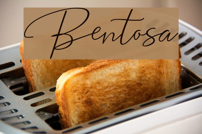 Bentosa Font examples