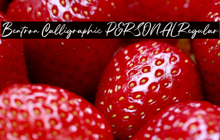 Bentron Calligraphic PERSONAL Regular Example 2