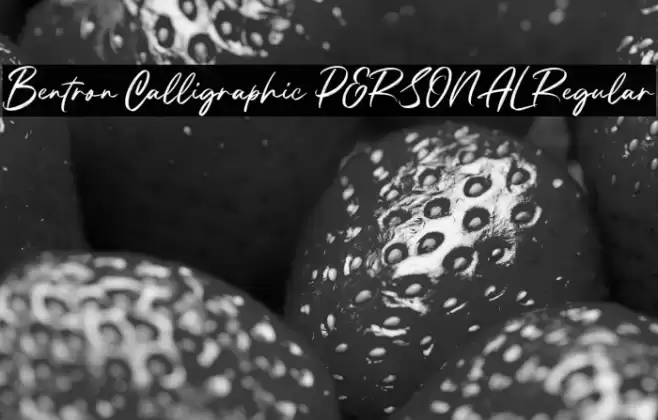 Bentron Calligraphic PERSONAL Regular Font examples