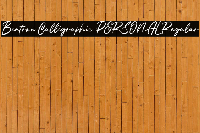 Bentron Calligraphic PERSONAL Regular Example 3