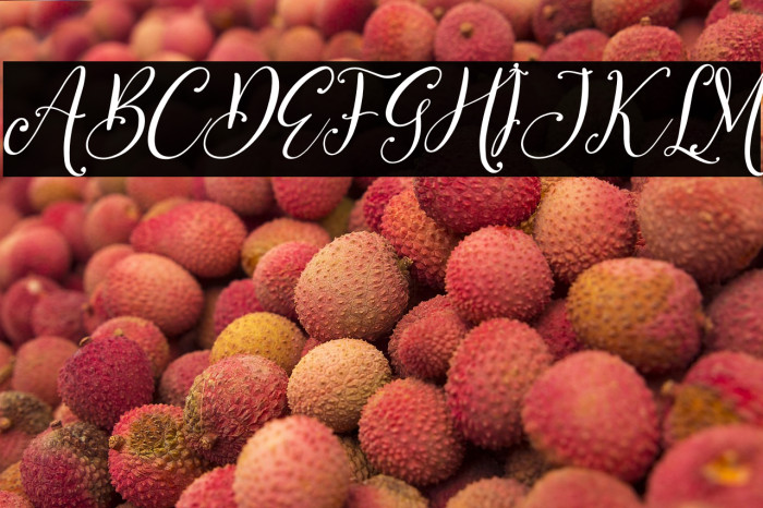 Benttaria Delissha Italic Example 1