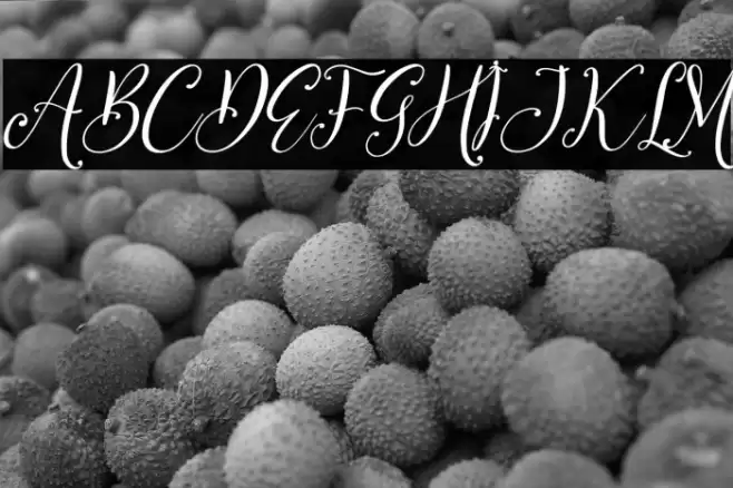 Benttaria Delissha Italic Font examples