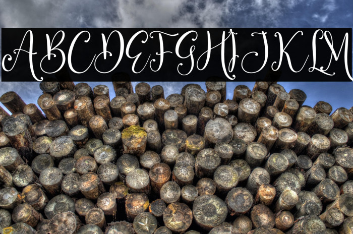 Benttaria Delissha Example 2