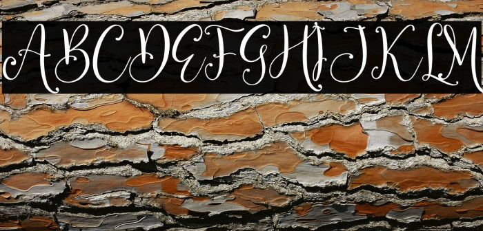 Benttaria Delissha Example 3