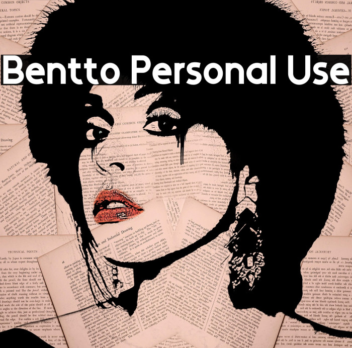 Bentto Personal Use Example 1