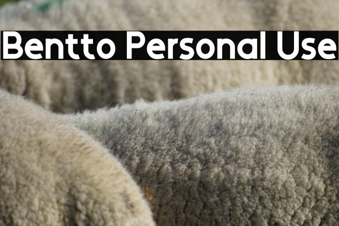 Bentto Personal Use Example 2