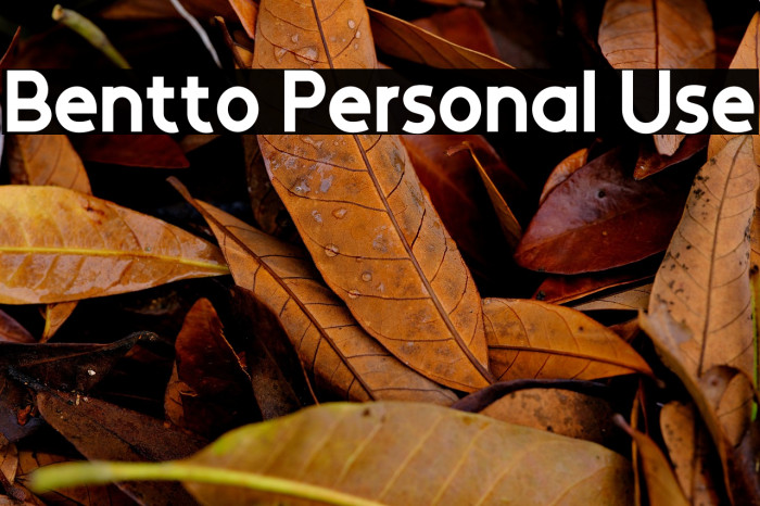 Bentto Personal Use Example 3
