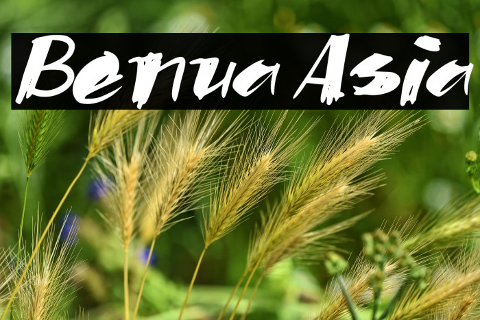 Benua Asia Example 2