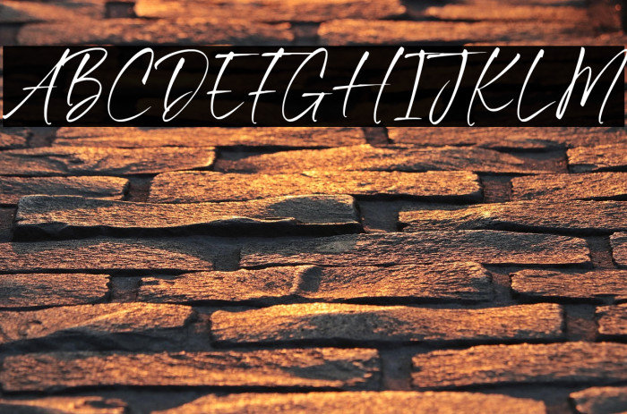 Benyamin Signature Example 1