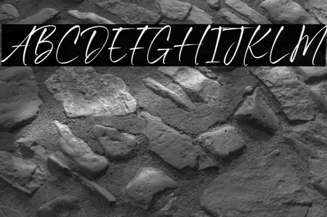 Benyamin Signature خط examples