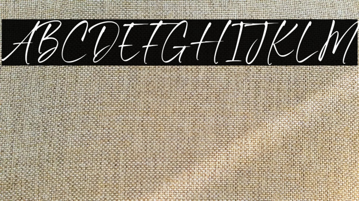 Benyamin Signature Example 3