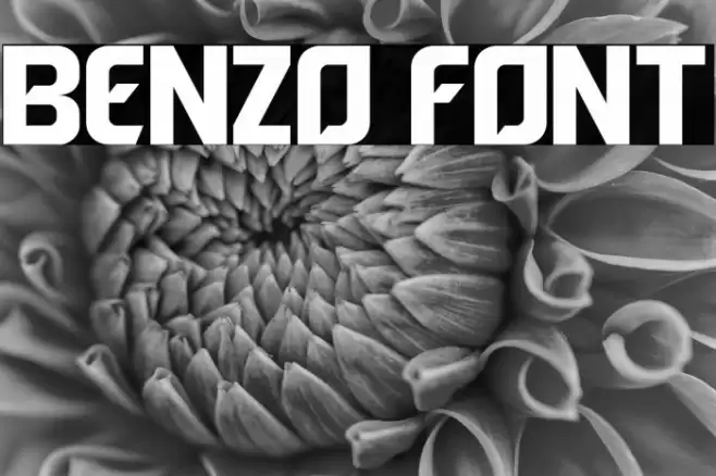 Benzo Font examples