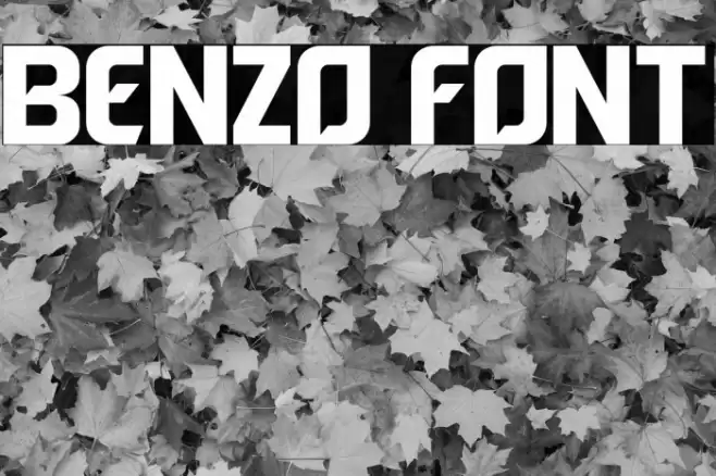 Benzo Font examples