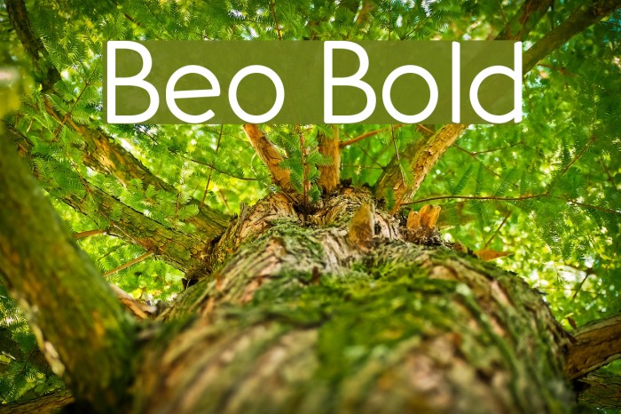 Beo Bold Font examples
