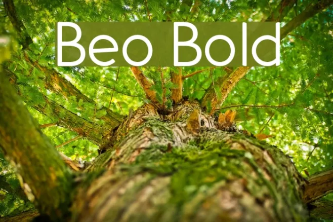 Beo Bold Example 3