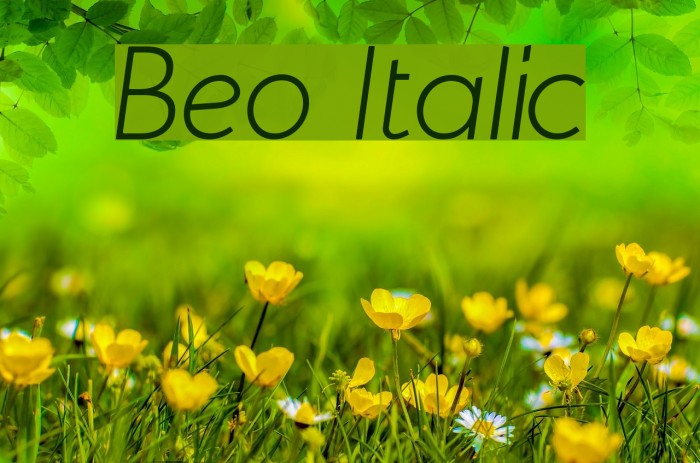 Beo Italic Font examples