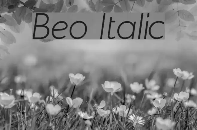 Beo Italic Font examples