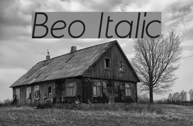 Beo Italic Font examples