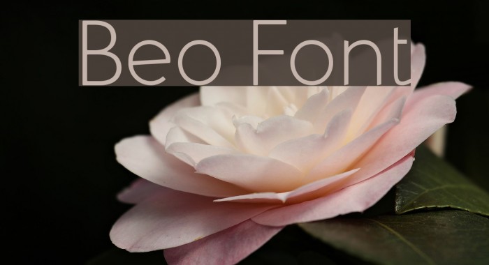 Beo Font examples