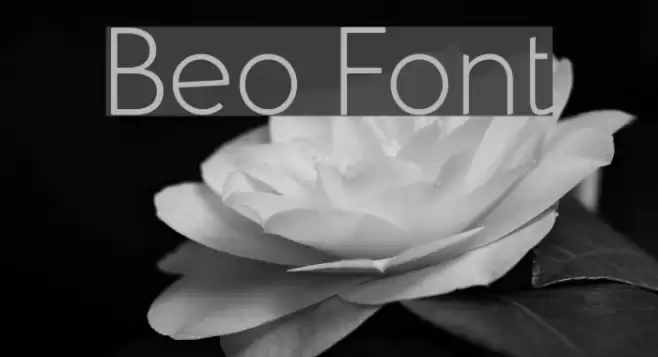 Beo  examples