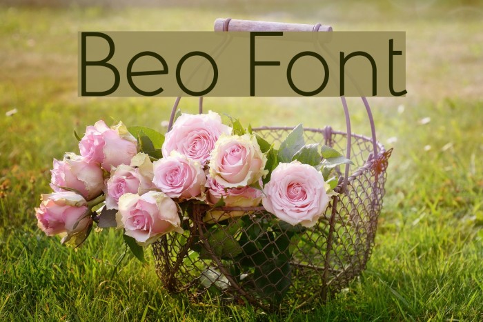 Beo Font examples