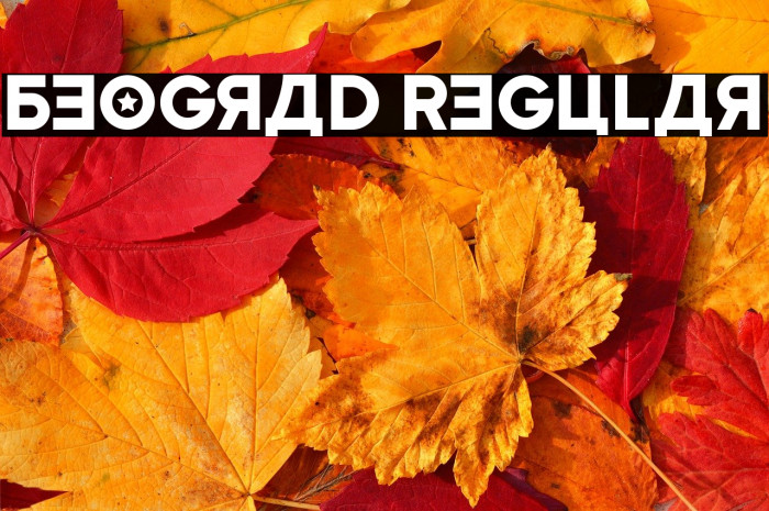 Beograd Regular Example 2