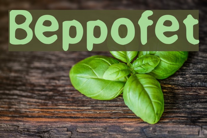 Beppofet Font examples