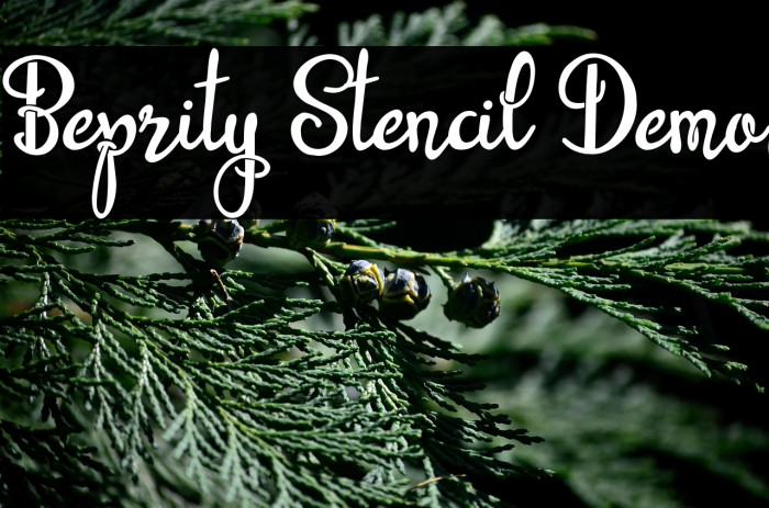 Beprity Stencil Demo Example 2