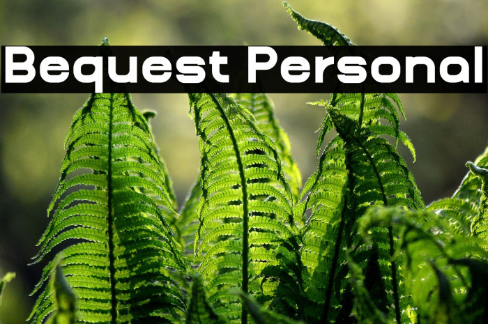 Bequest Personal Example 1
