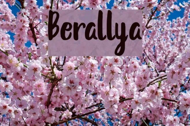 Berallya Example 1