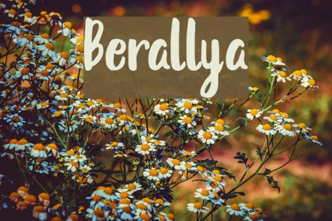 Berallya Example 2