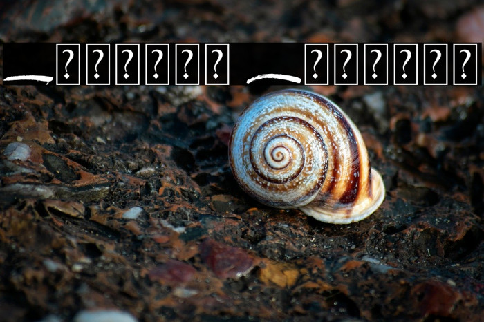 Beranak Swashes Example 1