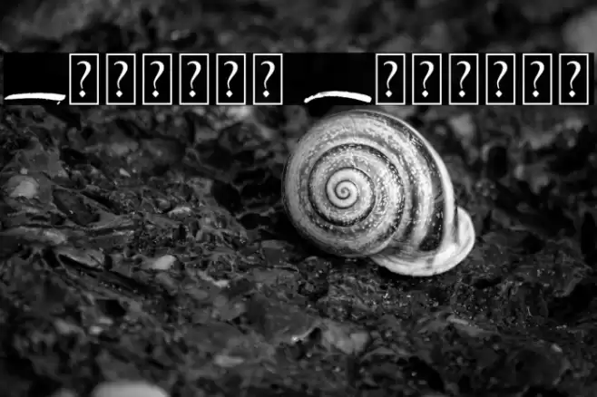 Beranak Swashes Font examples