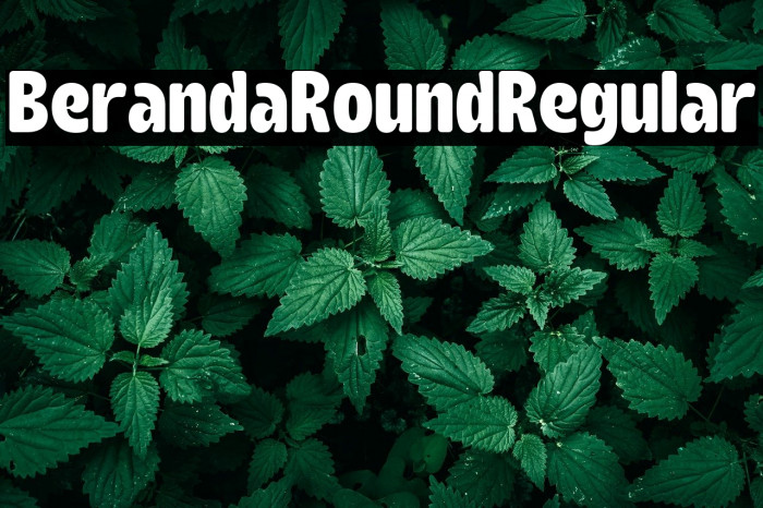 Beranda Round Regular Example 2