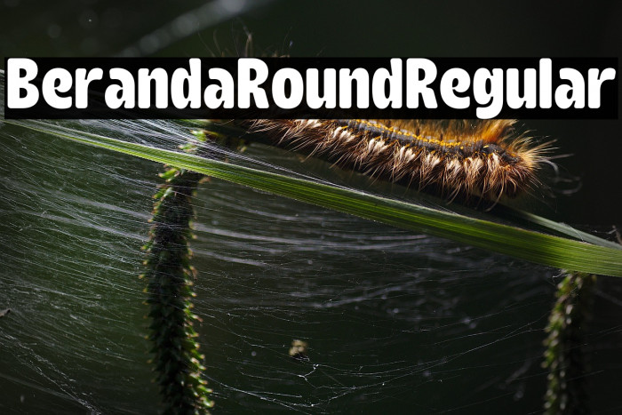 Beranda Round Regular Example 3