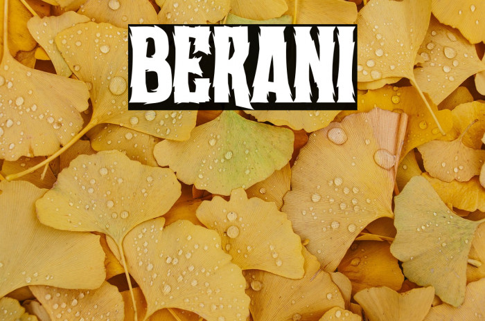 Berani Example 3