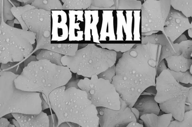 Berani Font examples