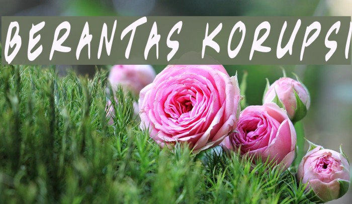 Berantas Korupsi Font examples