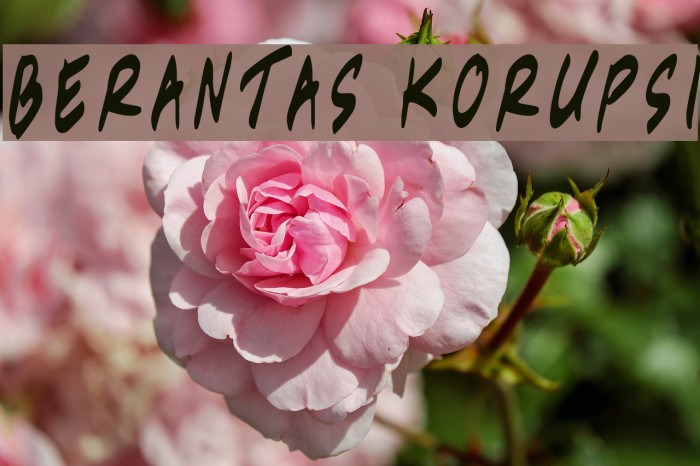 Berantas Korupsi Font examples