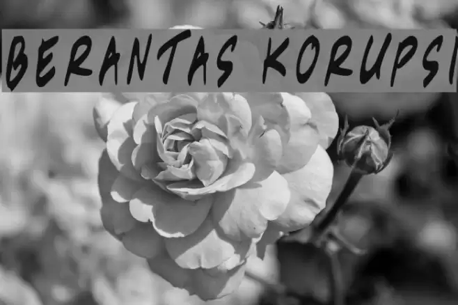 Berantas Korupsi Font examples