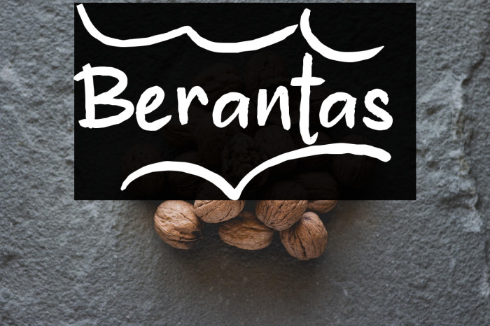 Berantas_ Example 2